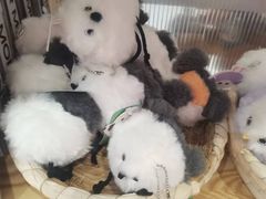 -成都欢乐谷