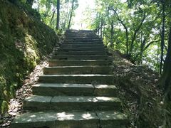 -桐君山春江扬帆码头