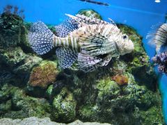 -大连老虎滩海洋公园