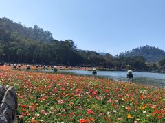 -顺峰山公园