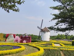 -金卉庄园