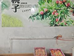 -南汇水蜜桃采摘(大团店)