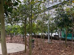 -歌斐颂巧克力小镇