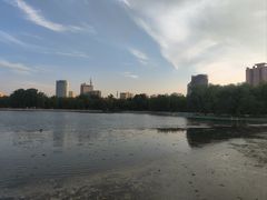 -莲花池公园
