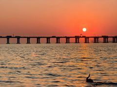 -宝安西湾红树林湿地公园