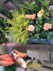 -玥奢国际母婴护理中心(滨江宝龙店)