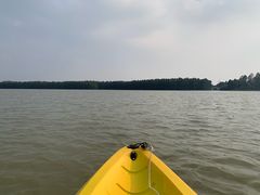 -上海海湾国家森林公园