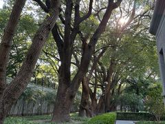-上海宋庆龄故居纪念馆
