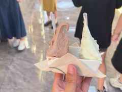 -野人先生现做冰淇淋(西安赛格店)