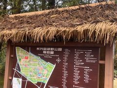 -上海长兴岛郊野公园