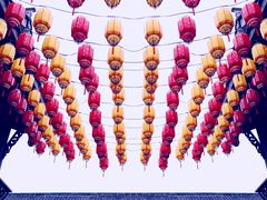 -稻香村(文殊院旗舰店)