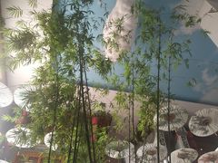 -梅园国际大酒店·自助餐厅(光明港店)
