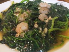 -老健康贾姨原味馆