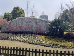 -南翔镇银翔湖公园