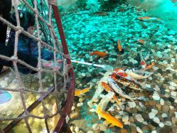 -酷嗒动物文化乐园(cutezoo西溪乐天城店)