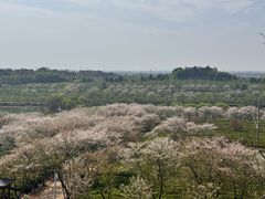 -凤凰沟景区