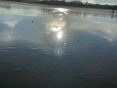 -东海岛旅游度假区