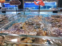 -徐记海鲜(梅溪新天地店)