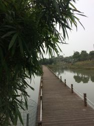 点击看大图 -水八仙生态园
