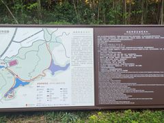-桃花岭景区