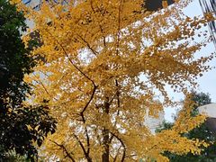 -上海电影博物馆