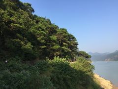 -羚羊峡古栈道森林公园