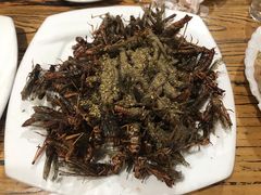 -溢心园香河肉饼总店