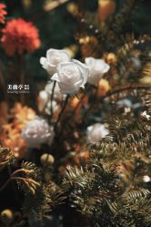 -美薇亭婚礼顾问