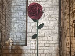 -华谊兄弟（长沙）电影小镇