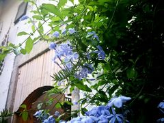 -深圳海景嘉途酒店(东翼楼)