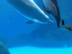 -珠海长隆海洋王国