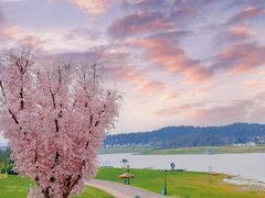 -云漫湖生态度假公园