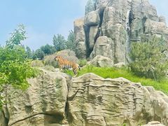 -北京野生动物园