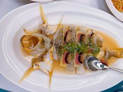 -上海和平饭店龙凤厅 Dragon Phoenix