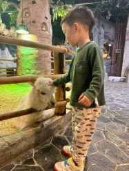 -Zoolung Zoolung动物主题公园(海信广场店)