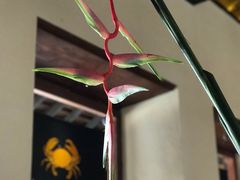 -Ministry of Crab(科伦坡店)