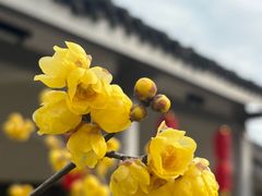 -无锡梅园公园