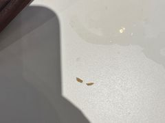 -八合里潮汕鲜牛肉火锅(吉大店)