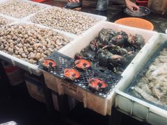 -都斛海鲜街