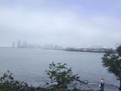 -万绿园