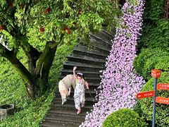 -巴倒烫陆派火锅山庄(南山总店)