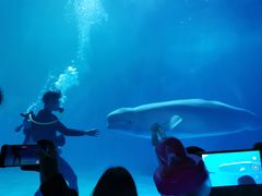 -多彩贵州城极地海洋世界