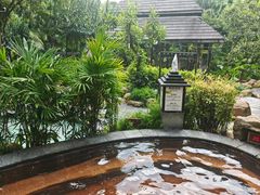-融汇温泉