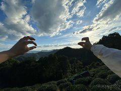 -香芙茗茶楼(梅家坞店)