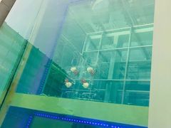 -重庆解放碑威斯汀酒店