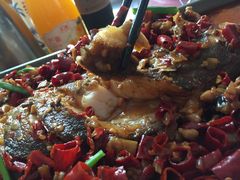 招牌臭鳜鱼-臭桂鱼儿特色餐厅(朝晖七小区北区店)