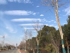 -梁鸿国家湿地公园