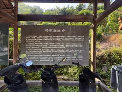 -杨家堂村