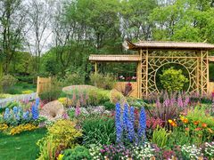 -上海共青森林公园