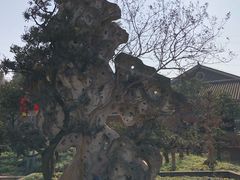 -老幺泉水鸡
